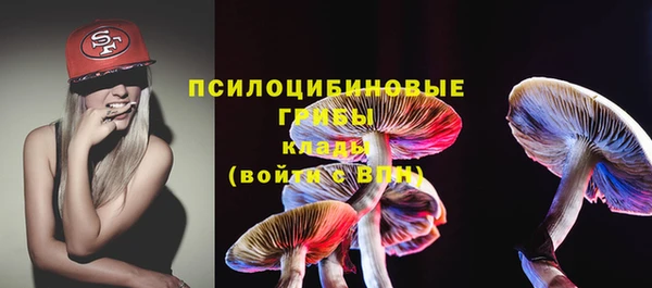 дмт Алексеевка