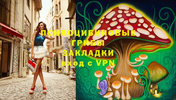 тгк Абинск