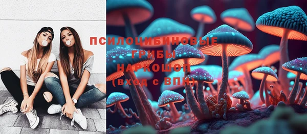 спиды Абаза