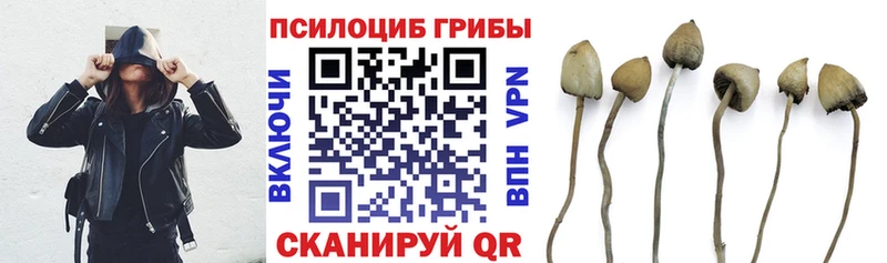 Галлюциногенные грибы Psilocybe  hydra маркетплейс  Знаменск 